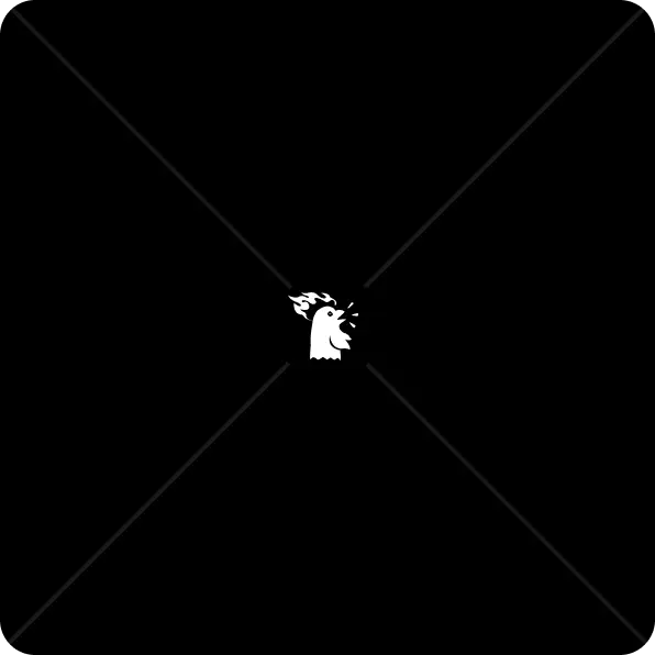 player img