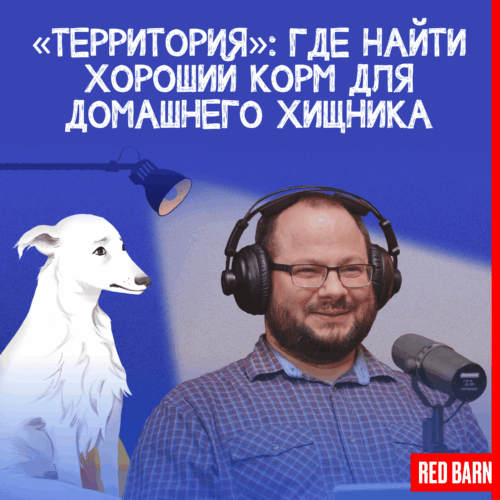 podcast